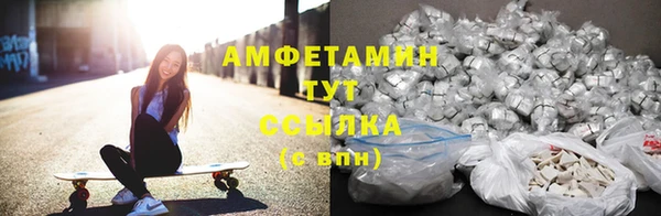 крисы Зерноград