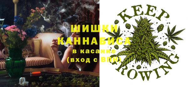 крисы Зерноград