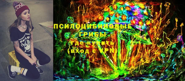 мет Ладушкин