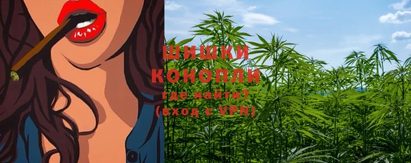 крисы Зерноград
