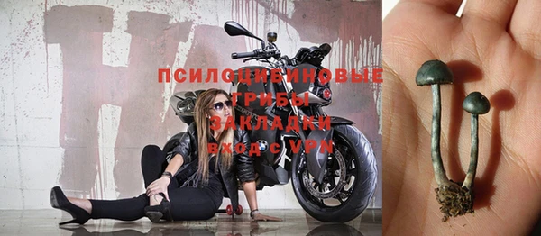 крисы Зерноград