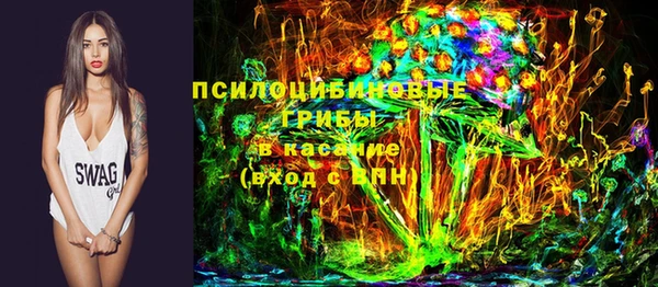 крисы Зерноград