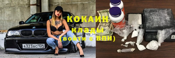 крисы Зерноград