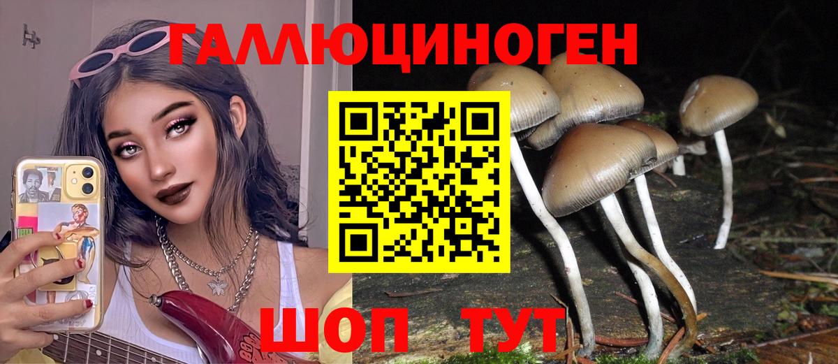 Псилоцибиновые грибы Psilocybe  Вход с VPN  хочу наркоту  Курганинск 