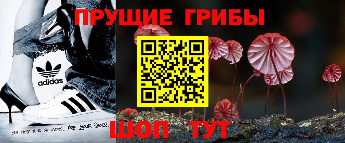 Альфа ПВП Курганинск