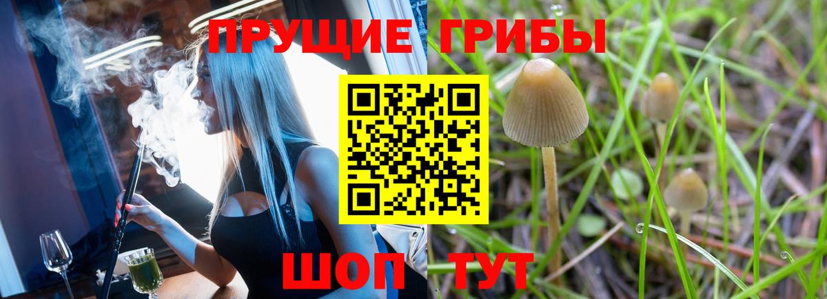 Псилоцибиновые грибы MAGIC MUSHROOMS Курганинск